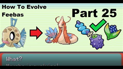 Talk to the Berry master&x27;s wife. . How to evolve feebas emerald